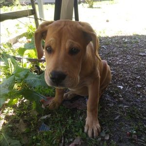 Meet your Posher, Paul